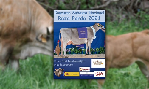 Concurso Subasta Nacional de la Raza Parda 2021