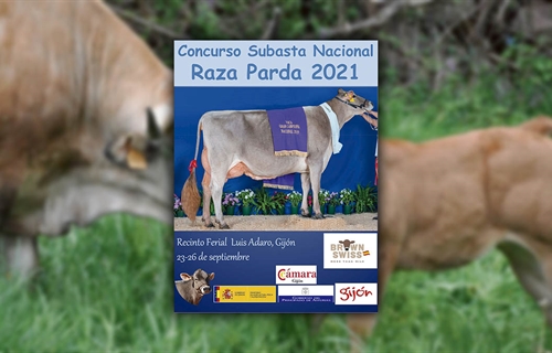 Concurso Subasta Nacional de la Raza Parda 2021