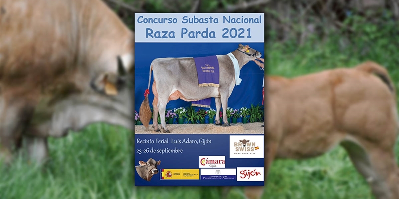 Concurso Subasta Nacional de la Raza Parda 2021