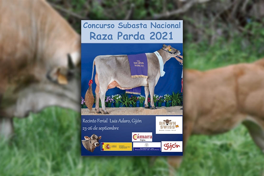 Concurso Subasta Nacional de la Raza Parda 2021