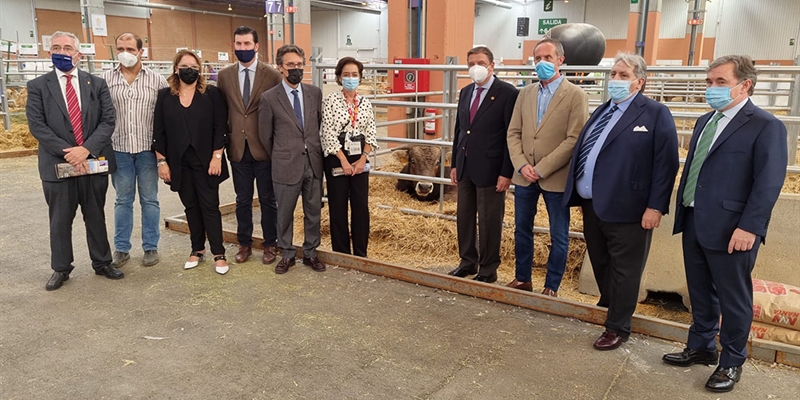 Comienza la consulta pública de la primera norma de ordenación de las granjas de ganado vacuno en España