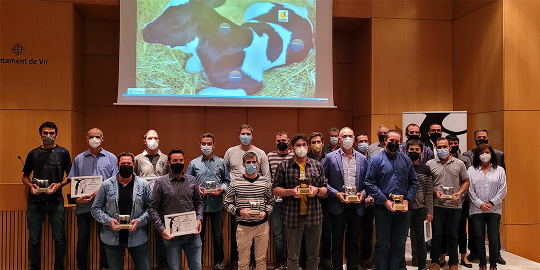 La ganadera Can Thos S.L., mejor explotacin de los 16 premios Vaca DOr
