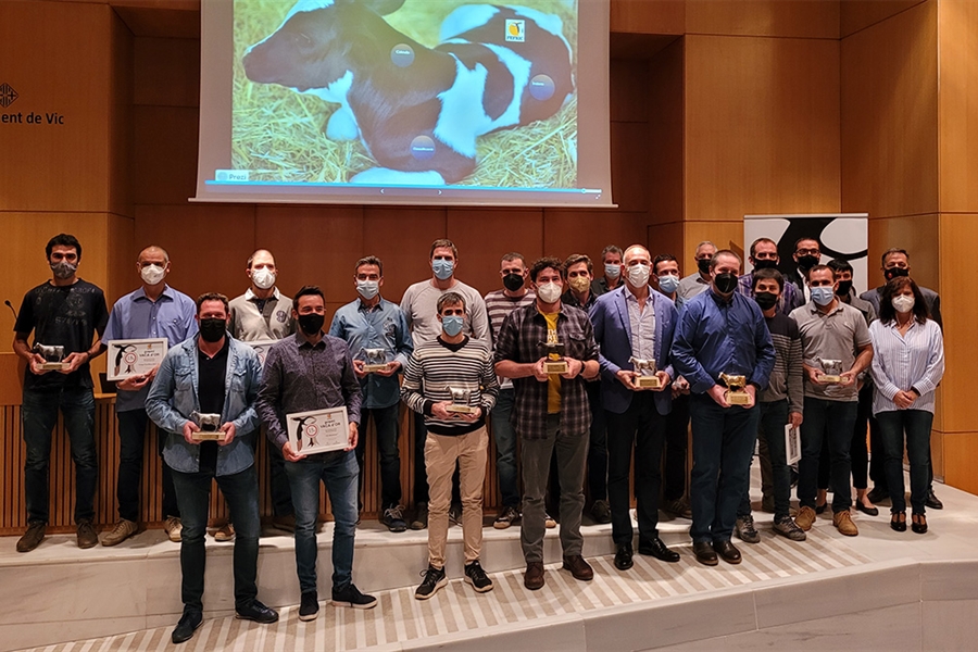 La ganadera Can Thos S.L., mejor explotacin de los 16 premios Vaca DOr