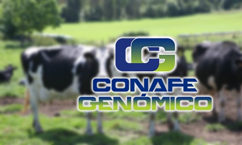 Ms de 100.000 hembras evaluadas por el Servicio Genmico de CONAFE