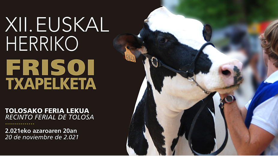Pol Collell juzgar el XII Concurso Frisn de Euskal Herria