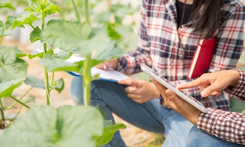 115,3 millones de euros para la transformacin del sector agroalimentario