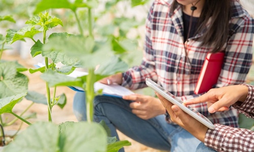 115,3 millones de euros para la transformacin del sector agroalimentario