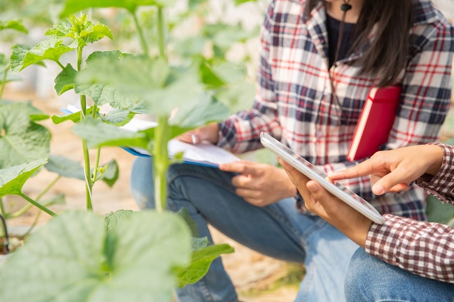 115,3 millones de euros para la transformacin del sector agroalimentario