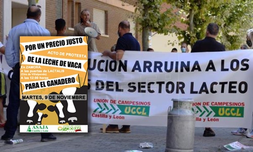 Movilizaciones en Zamora por el precio de la leche
