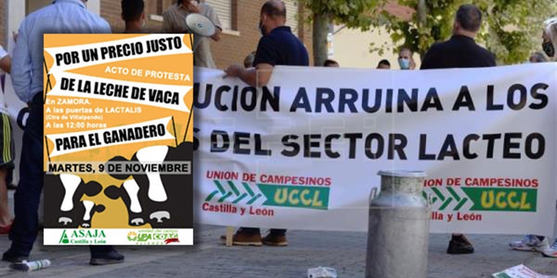 Movilizaciones en Zamora por el precio de la leche