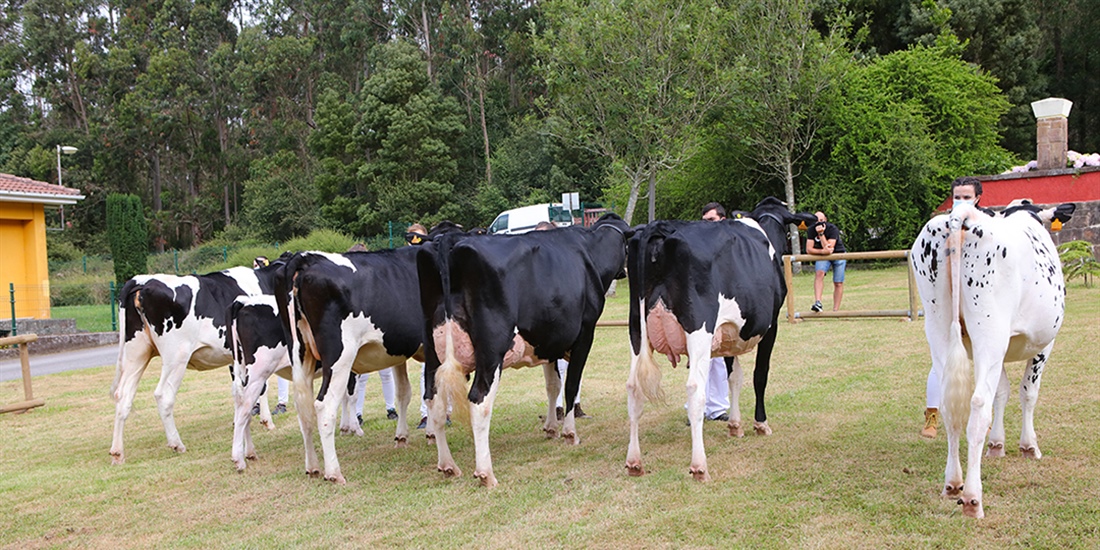Comienza el 9� Open Junior Show en Montichiari, Italia