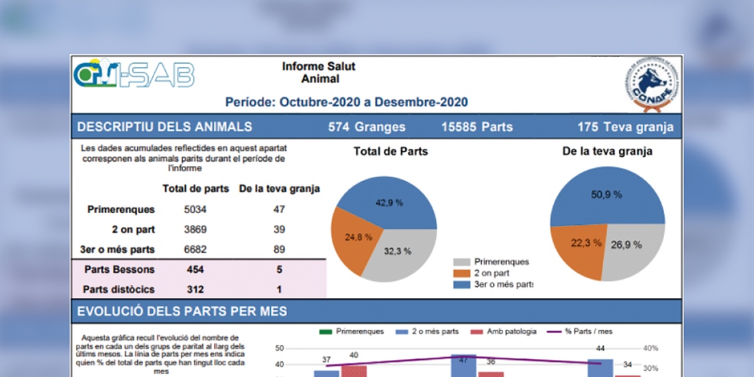 Distribucin de los primeros informes a las ganadera participantes del...