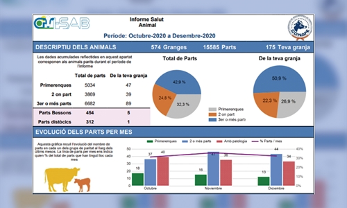 Distribucin de los primeros informes a las ganadera participantes del...