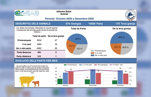 Distribucin de los primeros informes a las ganadera participantes del...