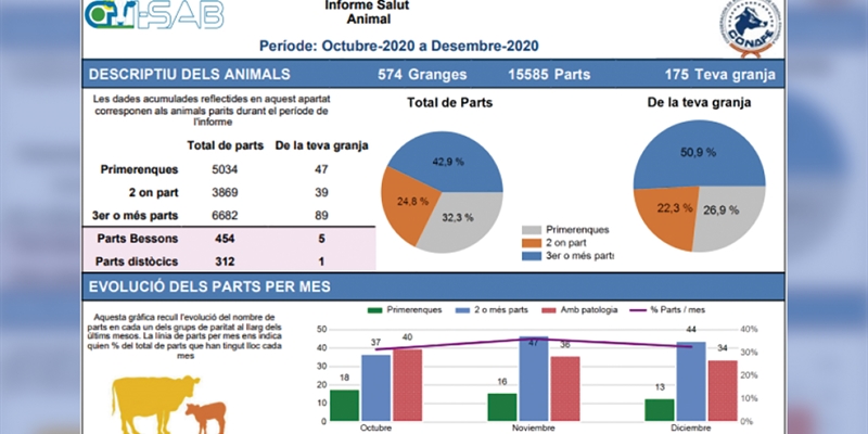 Distribucin de los primeros informes a las ganadera participantes del GO_I-SAB