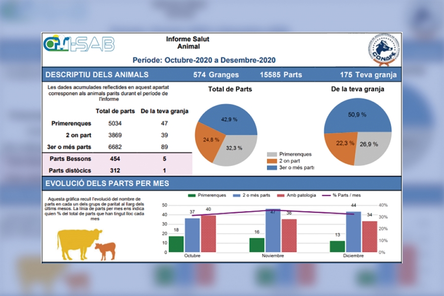 Distribucin de los primeros informes a las ganadera participantes del...