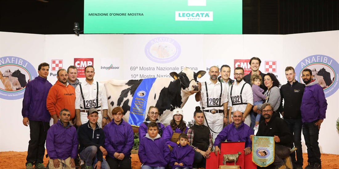 Dotti Silver Wanda, Campeona Frisona absoluta del Nacional italiano