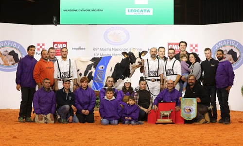 Dotti Silver Wanda, Campeona Frisona absoluta del Nacional italiano