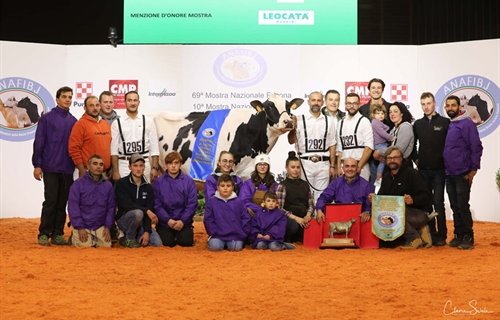 Dotti Silver Wanda, Campeona Frisona absoluta del Nacional italiano