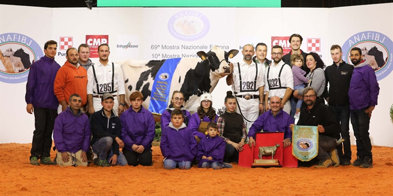 Dotti Silver Wanda, Campeona Frisona absoluta del Nacional italiano