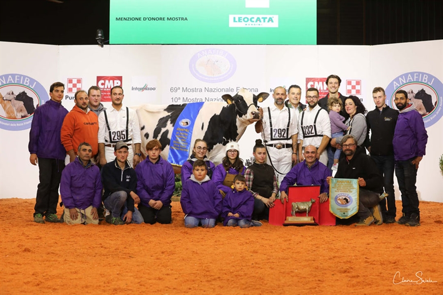 Dotti Silver Wanda, Campeona Frisona absoluta del Nacional italiano