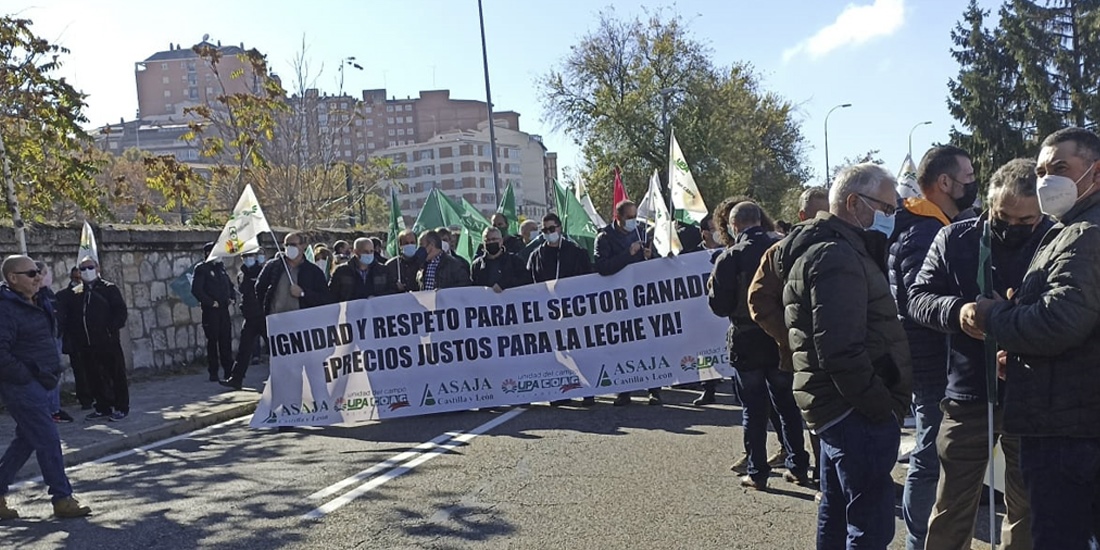 Multitudinaria concentracin en Zamora por el precio de la leche