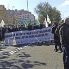 Multitudinaria concentracin en Zamora por el precio de la leche