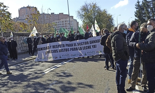 Multitudinaria concentración en Zamora por el precio de la leche
