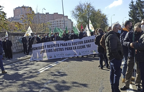 Multitudinaria concentracin en Zamora por el precio de la leche