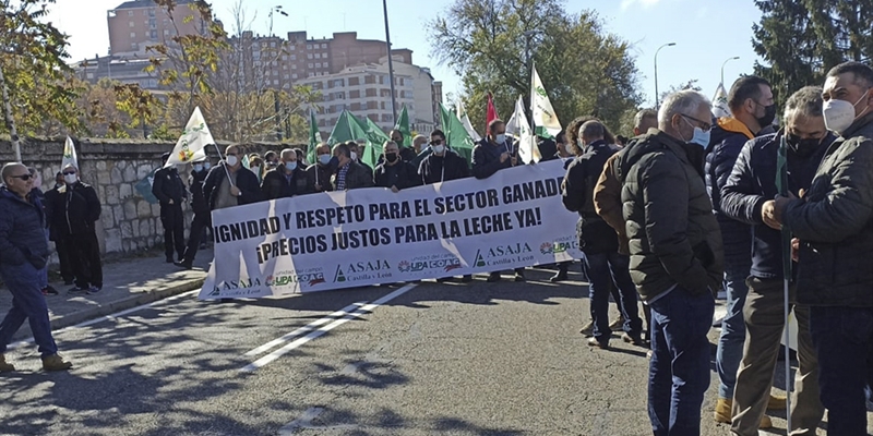 Multitudinaria concentracin en Zamora por el precio de la leche