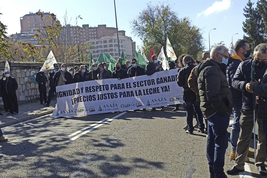 Multitudinaria concentracin en Zamora por el precio de la leche