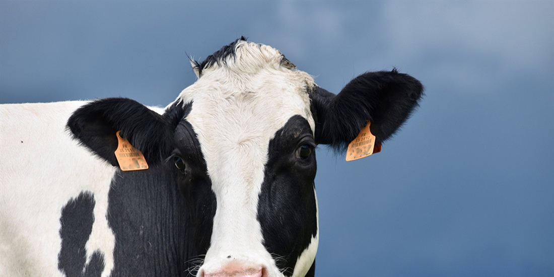 Uni�n de Uniones critica el desconocimiento del Ministerio sobre la...