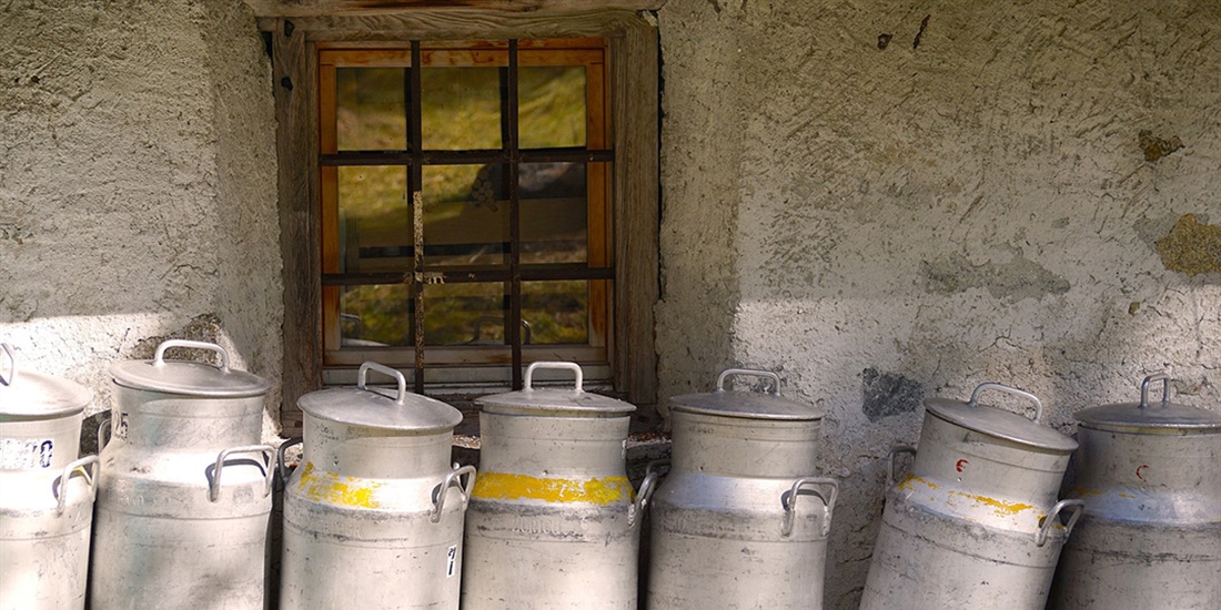 La desaparicin de la fuente de materia prima: los ganaderos