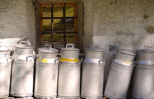 La desaparicin de la fuente de materia prima: los ganaderos
