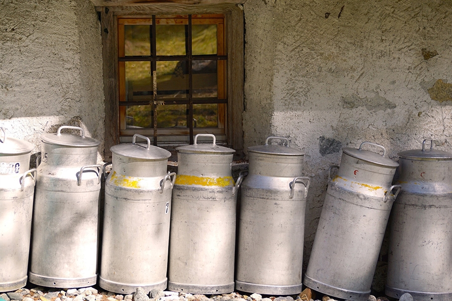 La desaparicin de la fuente de materia prima: los ganaderos