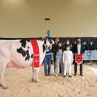 Planillo Sid Siri, Vaca Campeona del XII concurso de Euskal Herria