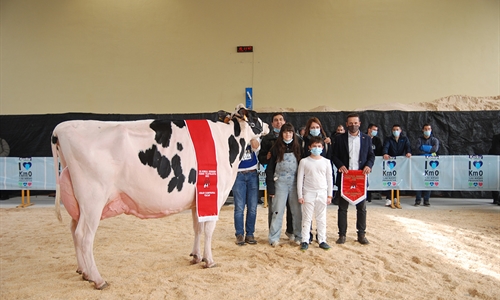 Planillo Sid Siri, Vaca Campeona del XII concurso de Euskal Herria