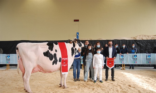 Planillo Sid Siri, Vaca Campeona del XII concurso de Euskal Herria