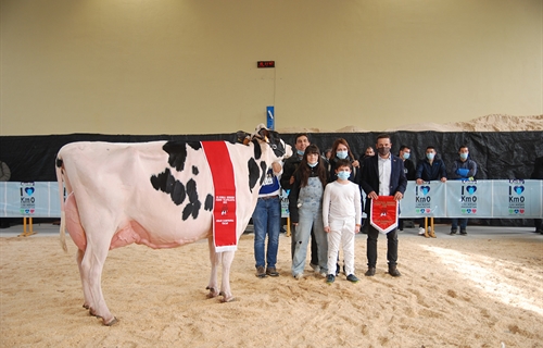 Planillo Sid Siri, Vaca Campeona del XII concurso de Euskal Herria