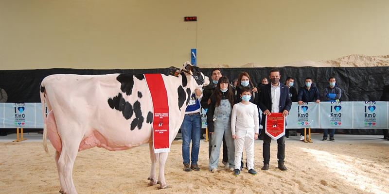 Planillo Sid Siri, Vaca Campeona del XII concurso de Euskal Herria