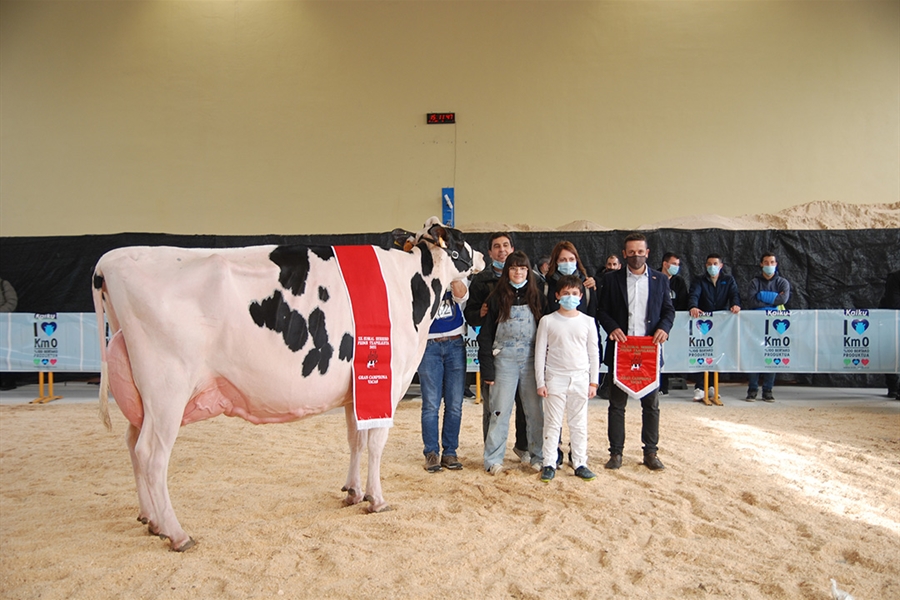 Planillo Sid Siri, Vaca Campeona del XII concurso de Euskal Herria