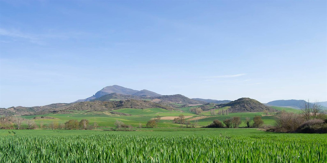 Los ODS en las cooperativas agroalimentarias