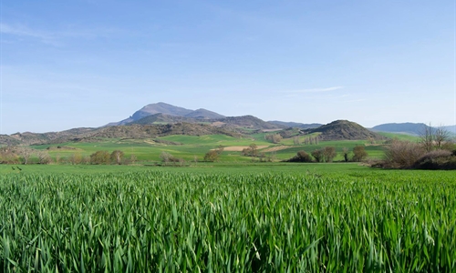 Los ODS en las cooperativas agroalimentarias
