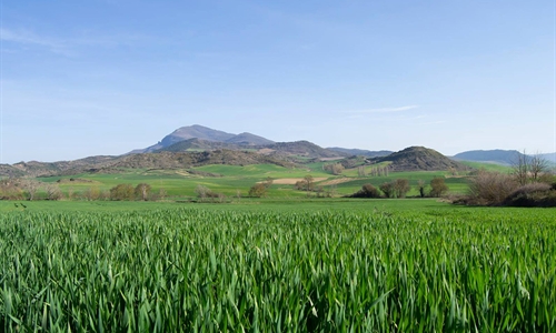 Los ODS en las cooperativas agroalimentarias