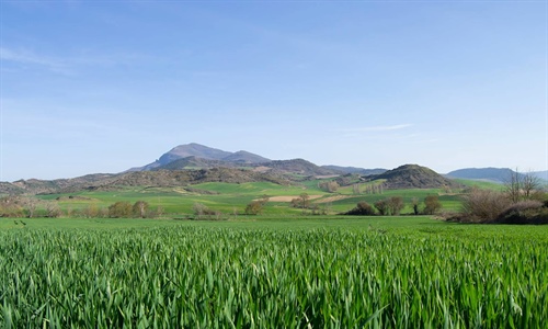 Los ODS en las cooperativas agroalimentarias