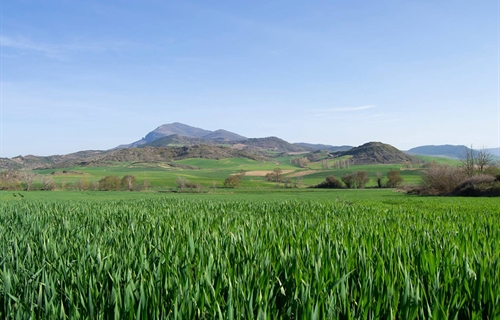 Los ODS en las cooperativas agroalimentarias