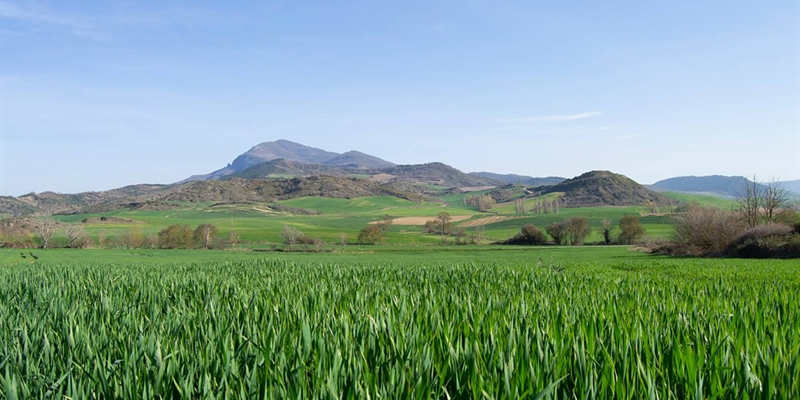 Los ODS en las cooperativas agroalimentarias