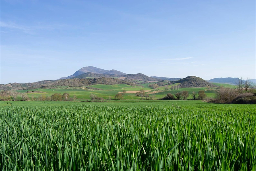 Los ODS en las cooperativas agroalimentarias