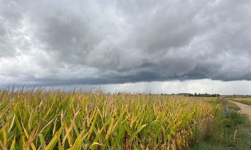 Aprobado el Plan de Seguros Agrarios Combinados para 2022