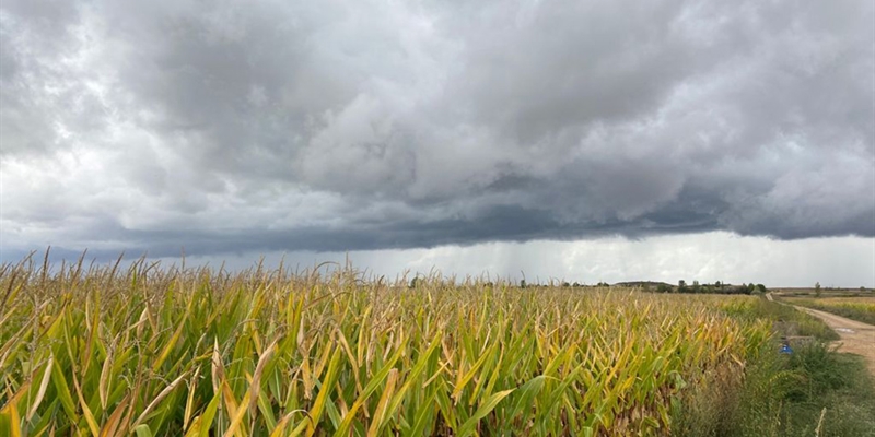 Aprobado el Plan de Seguros Agrarios Combinados para 2022